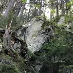 Dum A Dum Resort Zivohost