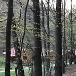 Resort Dum A Dum Zivohost