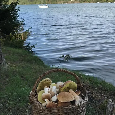 Dum A Dum Üdülőközpont 5*
