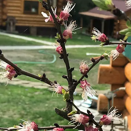 Rezort Sruby Relax živohošť Zivohost