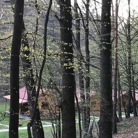 Resort Dum A Dum Zivohost