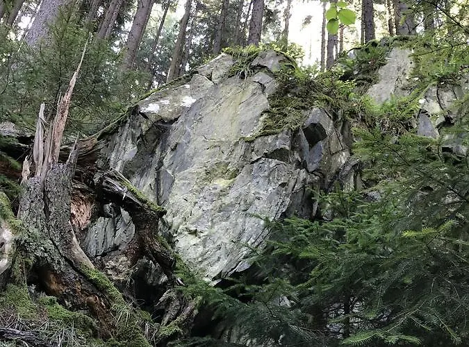 Dum A Dum Resort Zivohost